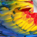 PPM7 9 Mil Polypropylene Banner Matte | Durable & Water-Resistant