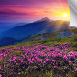 TORINO17M - 17 MIL POLY/COTTON STRETCH CANVAS (MATTE)