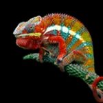 Sihl 6865 SubliColor SuperSport Paper 85