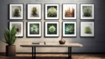 Example of photo paper use - Pictures on a wall with cactus featured